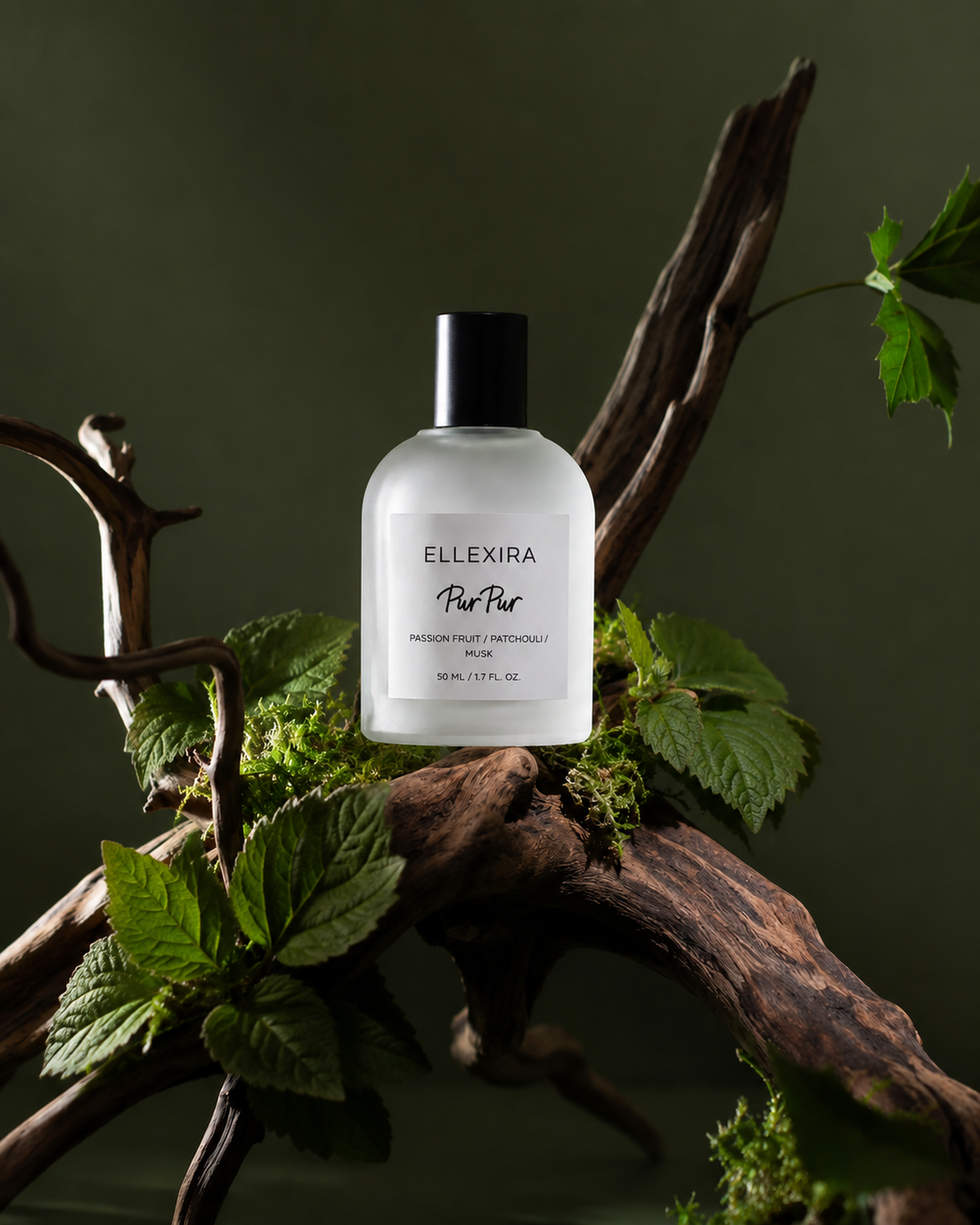 Where wild nature meets modern elegance